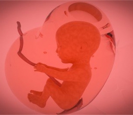 给婴幼儿昆明捐卵宝宝添加辅食应避免“四大罪过”