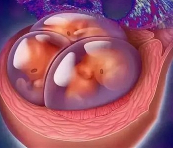 3岁昆明捐卵宝宝营养不良的标准 孩子营养问题关乎千万人的心